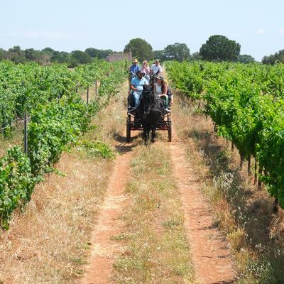 Alla scoperta del Distretto Sud Est Barese
