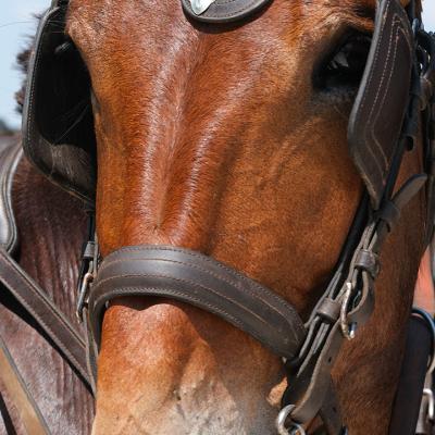 Alla scoperta del Distretto Sud Est Barese